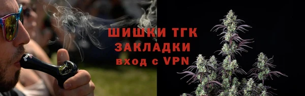 PSILOCYBIN Арсеньев