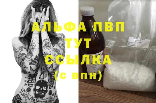 гашик Аркадак